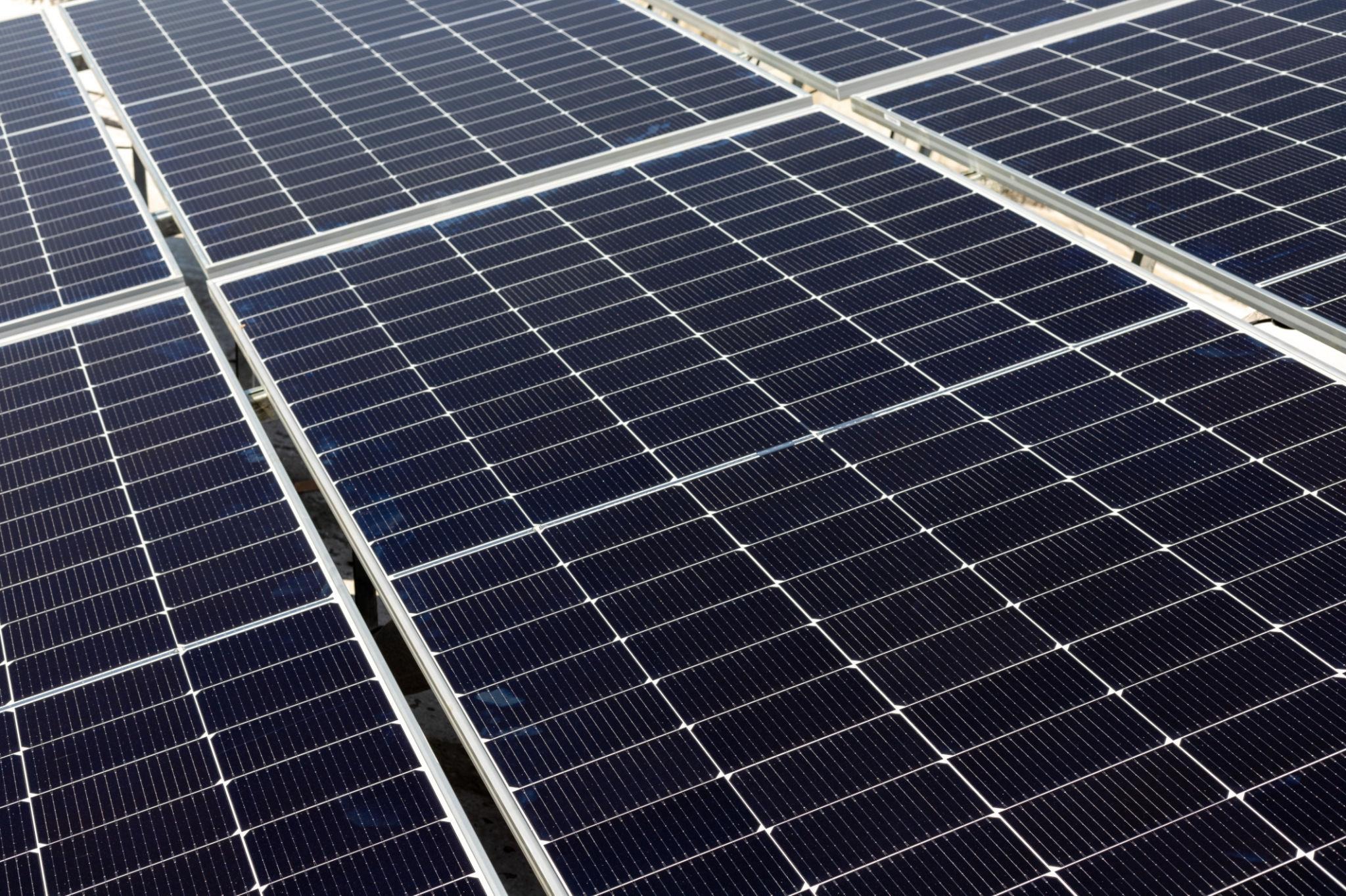 Solar Panels 101: How They Convert Sunlight Into Usable Electricity
